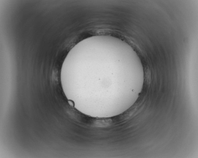 X0000111850571200908131441