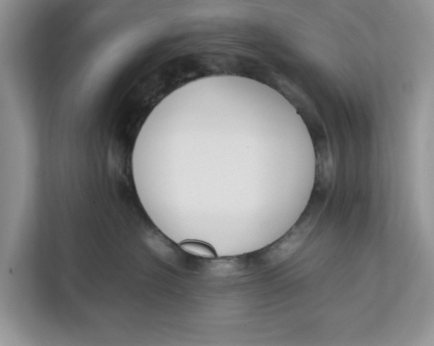 X0000111850574200908131441