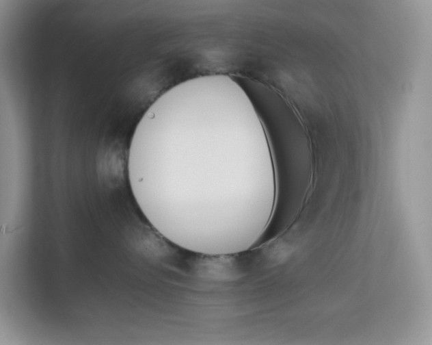 X0000111850576200908131441