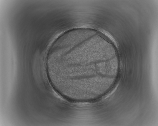 X0000111850577200908131441