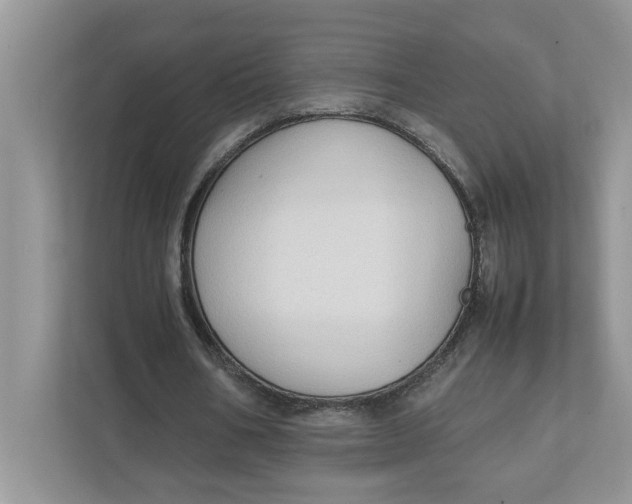 X0000111850578200908131441