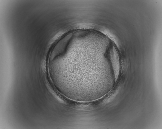 X0000111850581200908131441