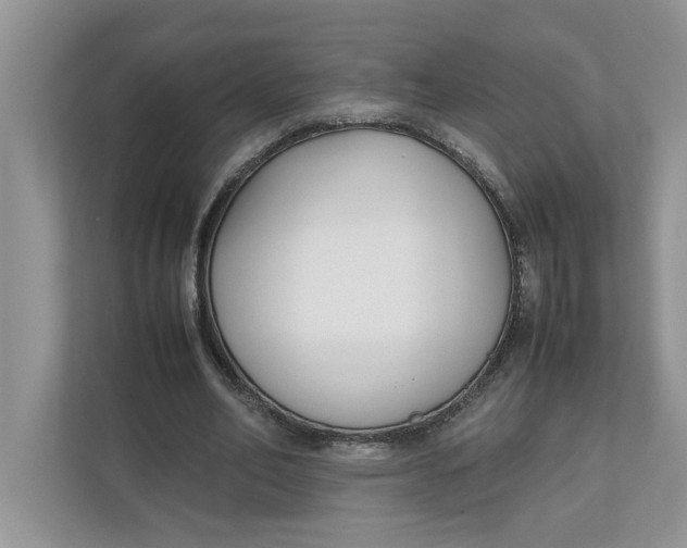 X0000111850582200908131441