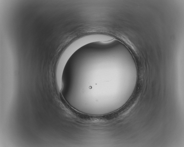 X0000111850585200908131440