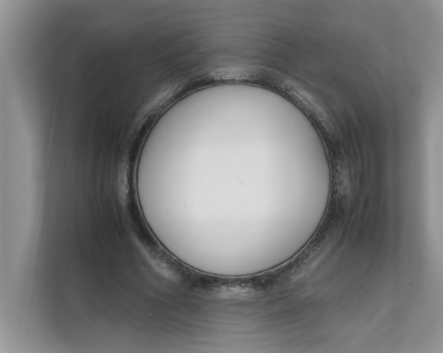 X0000111850586200908131440