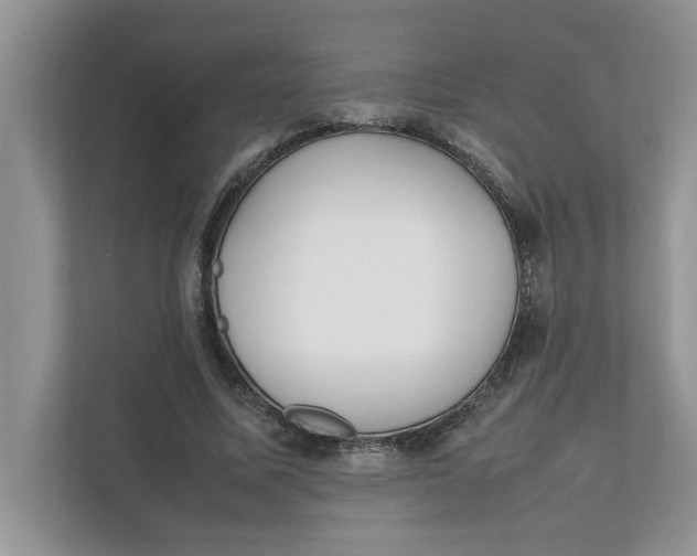 X0000111850587200908131440