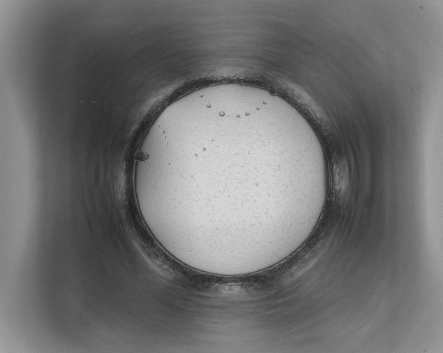 X0000111850588200908131440