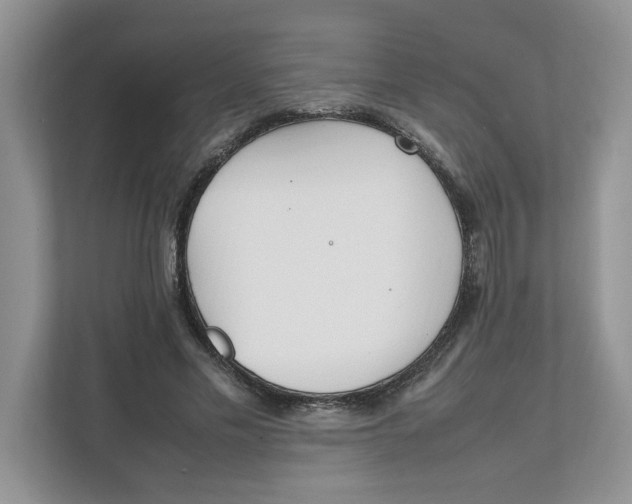 X0000111850589200908131440