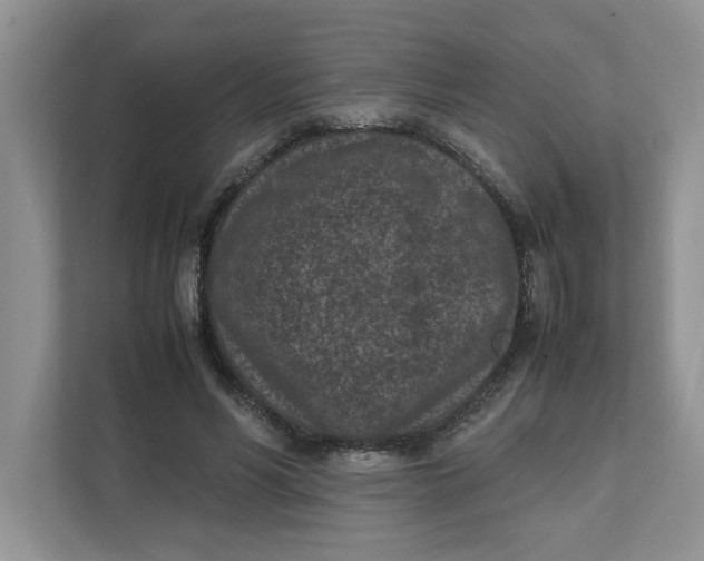 X0000111850590200908131440