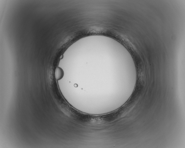 X0000111850591200908131440