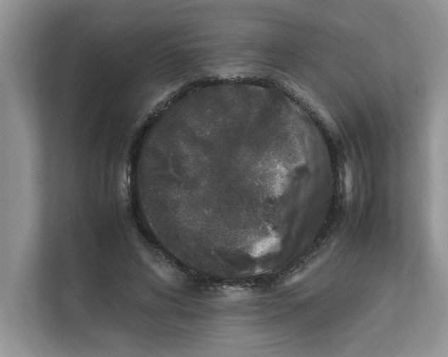 X0000111850592200908131440