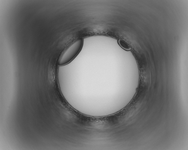 X0000111850593200908131440