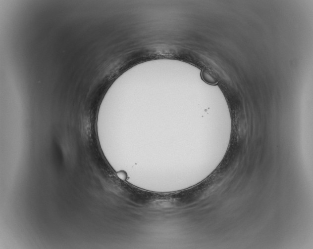 X0000111850595200908131440