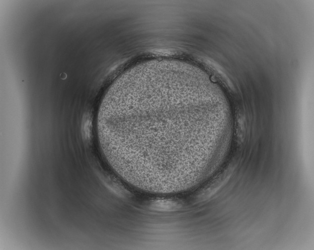 X0000111850596200908131440