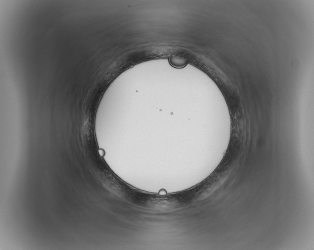 X0000111850597200908131440