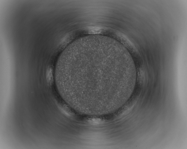 X0000111850598200908131440