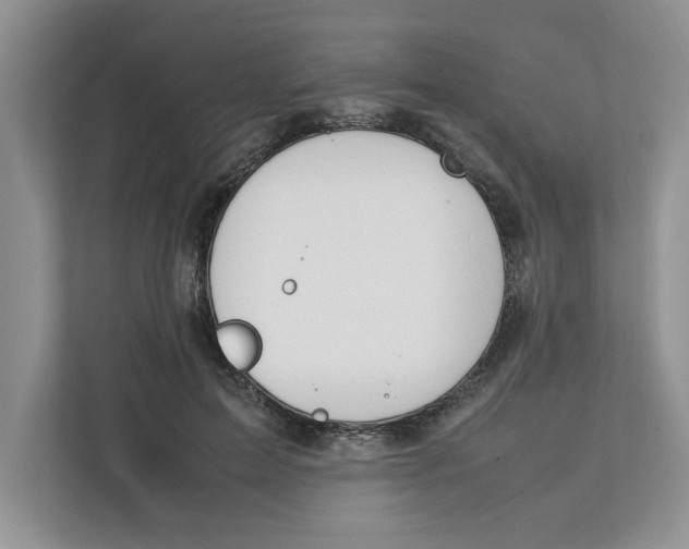 X0000111850599200908131440