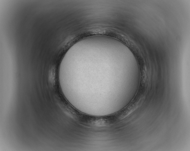 X0000111850600200908131440