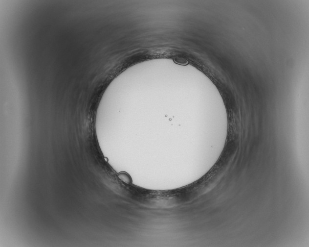 X0000111850601200908131440