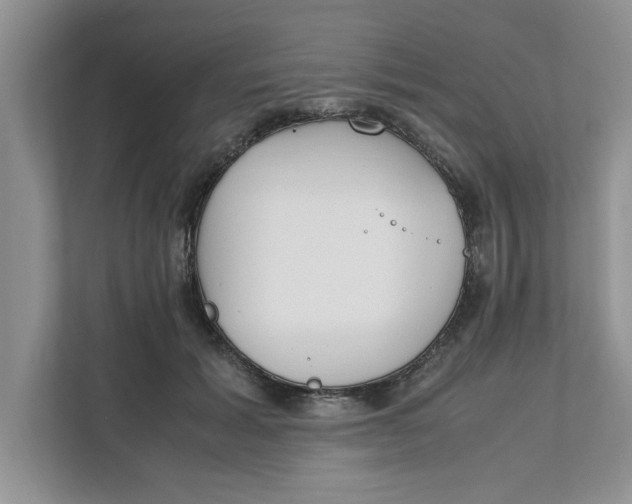 X0000111850605200908131440