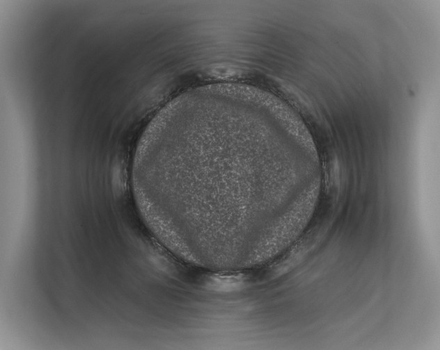 X0000111850606200908131440