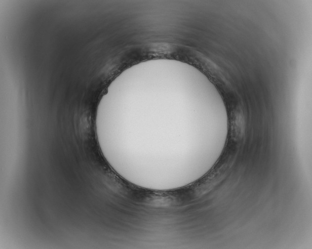 X0000111850608200908131440