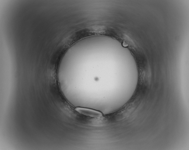 X0000111850609200908131440