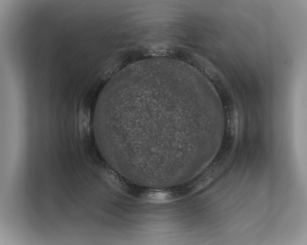 X0000111850610200908131440