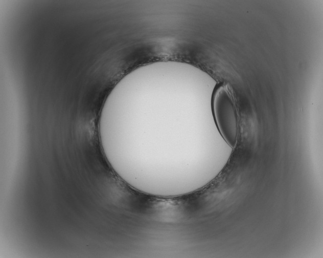 X0000111850611200908131440