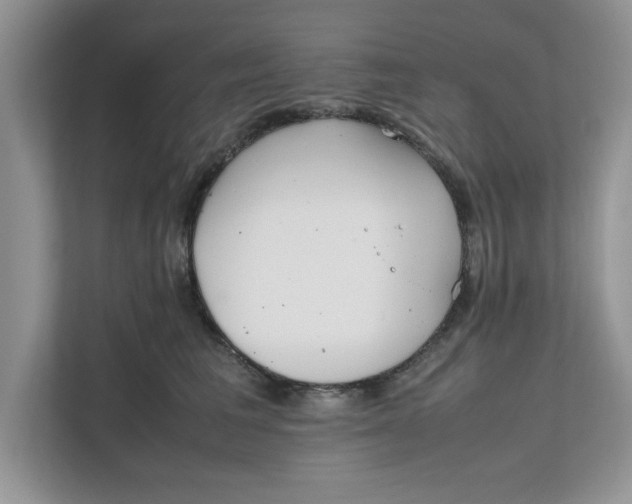 X0000111850613200908131440