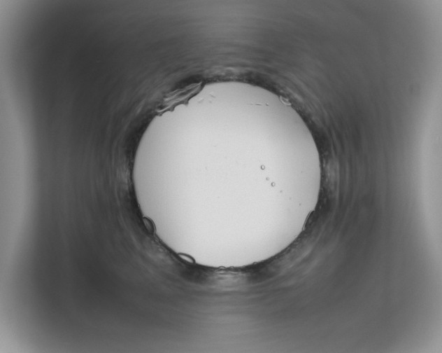 X0000111850617200908131440