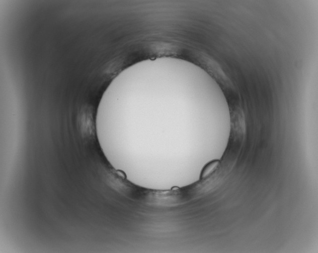 X0000111850622200908131440