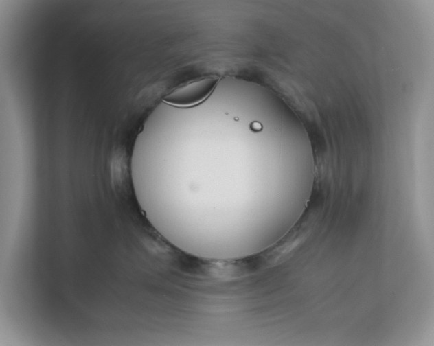 X0000111850623200908131440