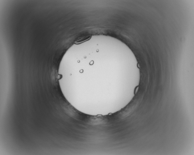 X0000111850624200908131440