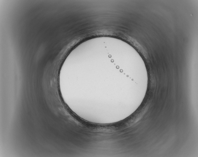 X0000111850625200908131439