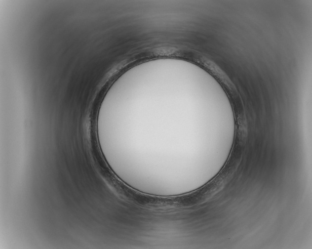 X0000111850626200908131439