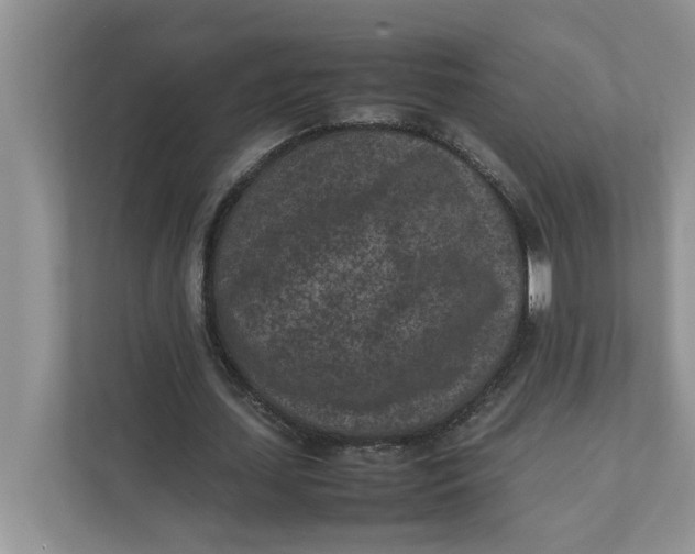 X0000111850627200908131439