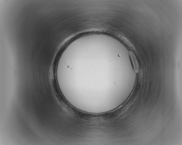 X0000111850628200908131439