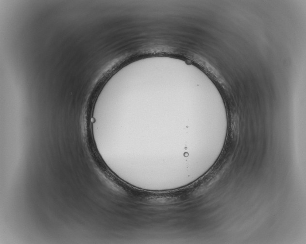 X0000111850629200908131439