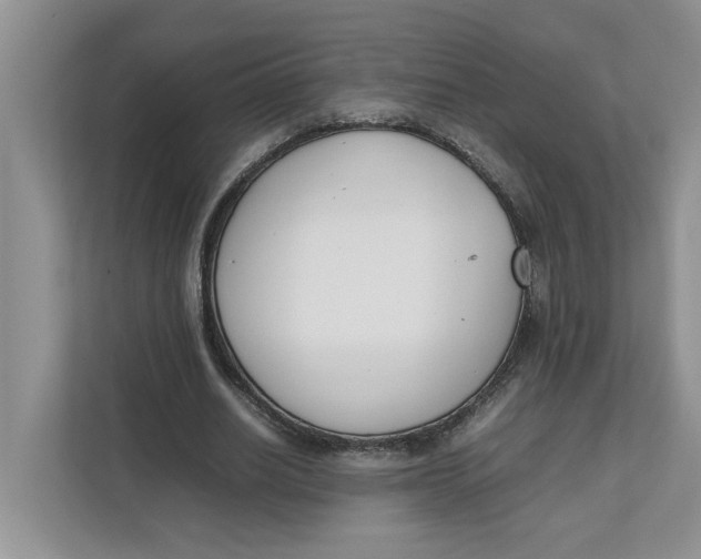 X0000111850630200908131439