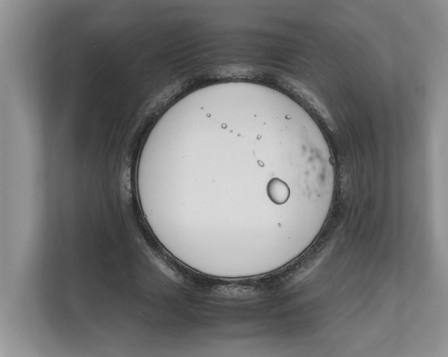 X0000111850633200908131439