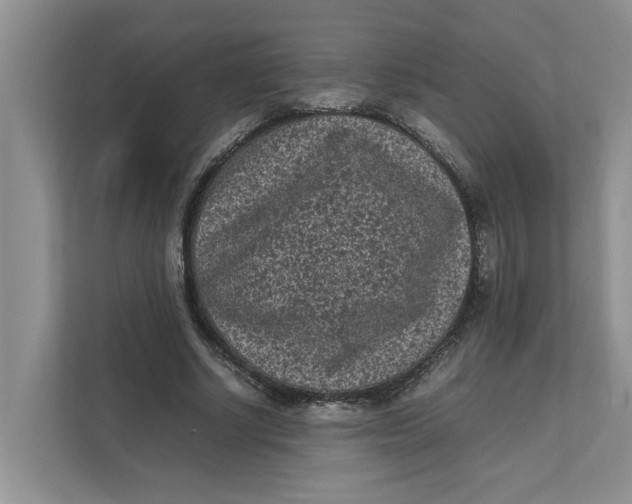 X0000111850634200908131439