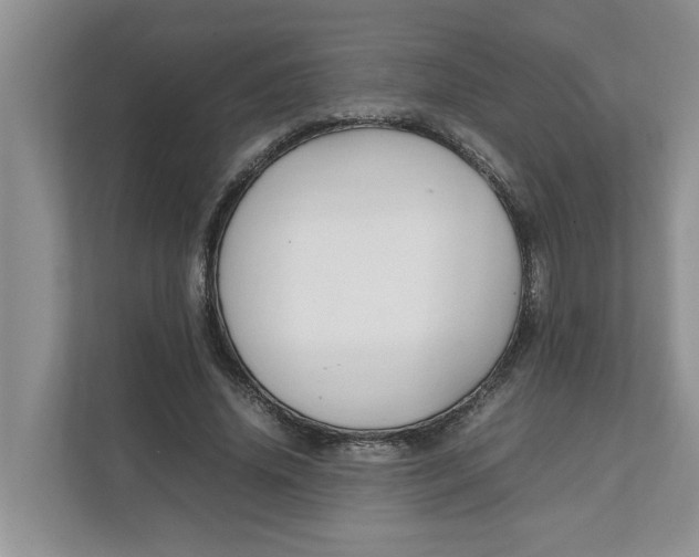 X0000111850636200908131439