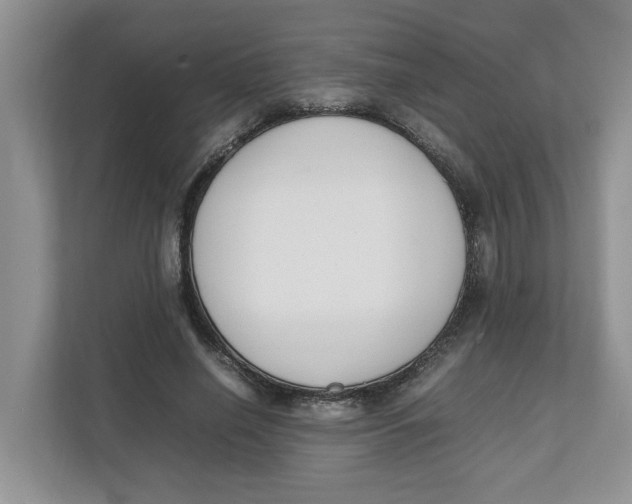 X0000111850638200908131440