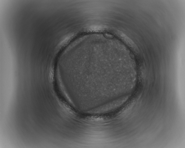 X0000111850640200908131440