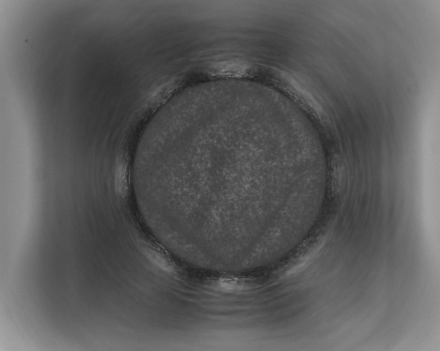 X0000111850641200908131440