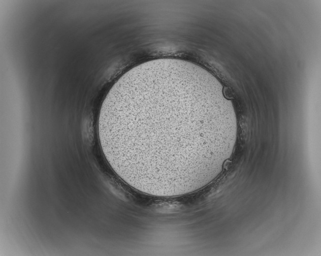 X0000111850642200908131440