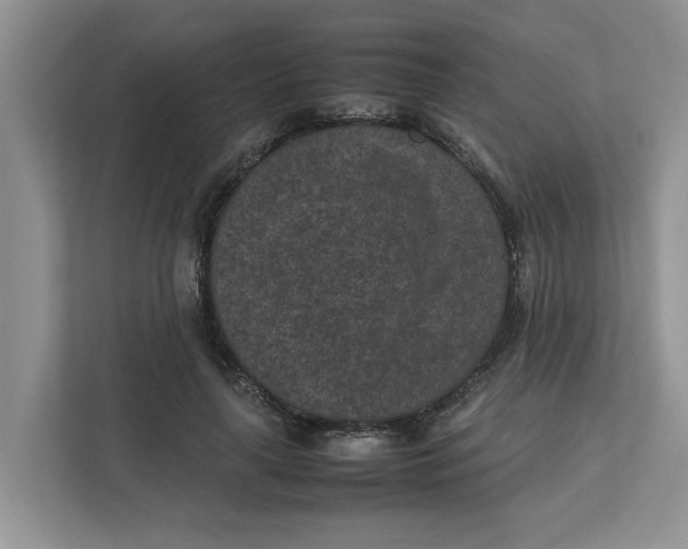 X0000111850643200908131440