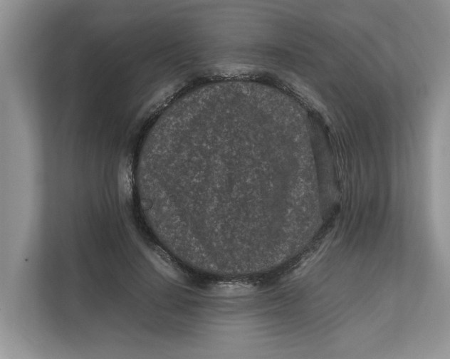 X0000111850644200908131440