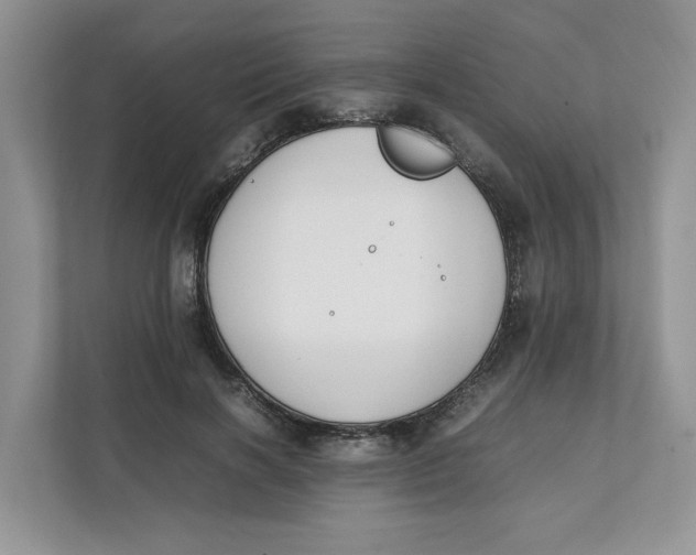 X0000111850646200908131440